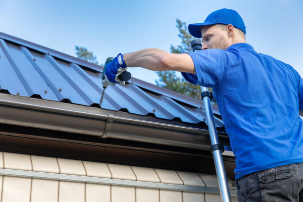 Best Skylight Installation and Repair  in Hopkins, SC